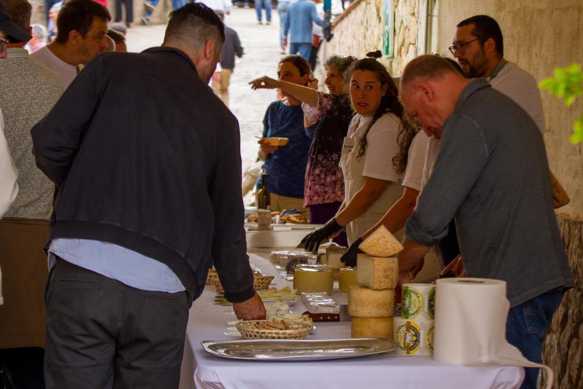 Tast amb Llops 2025